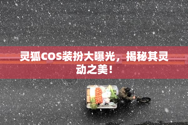 灵狐COS装扮大曝光，揭秘其灵动之美！