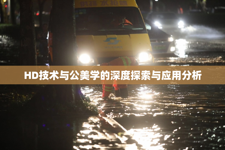 HD技术与公美学的深度探索与应用分析