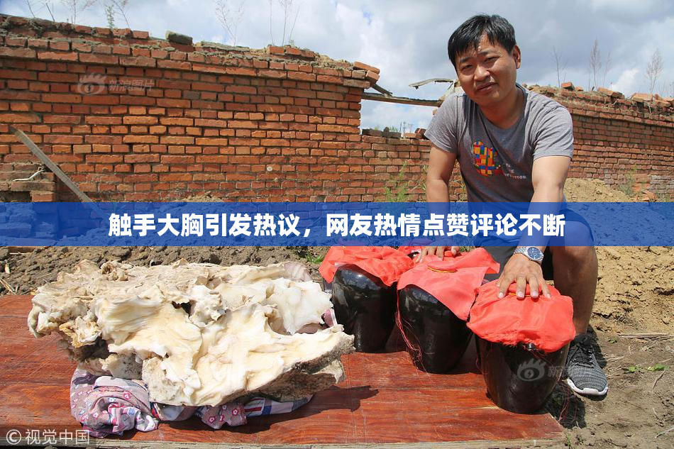 触手大胸引发热议，网友热情点赞评论不断