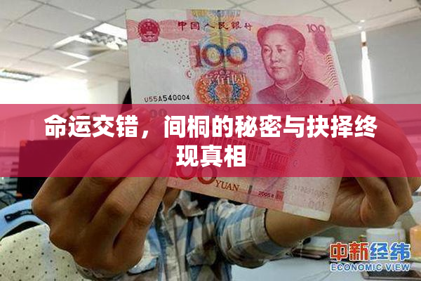 命运交错，间桐的秘密与抉择终现真相