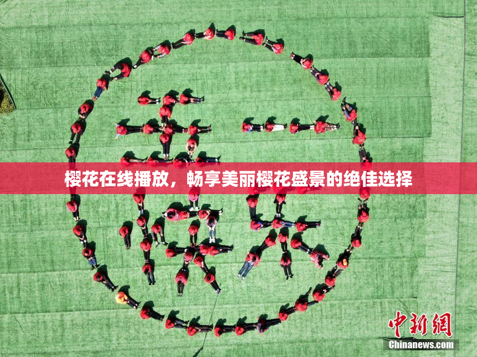 樱花在线播放，畅享美丽樱花盛景的绝佳选择