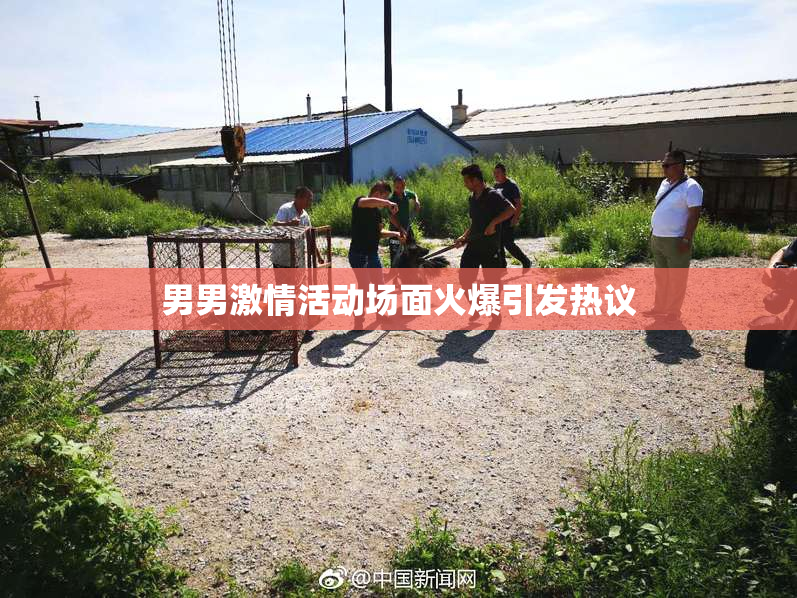 男男激情活动场面火爆引发热议