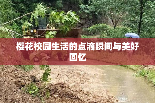 樱花校园生活的点滴瞬间与美好回忆