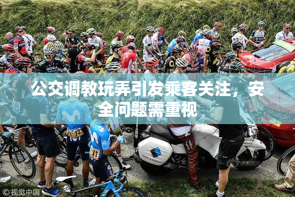 公交调教玩弄引发乘客关注，安全问题需重视