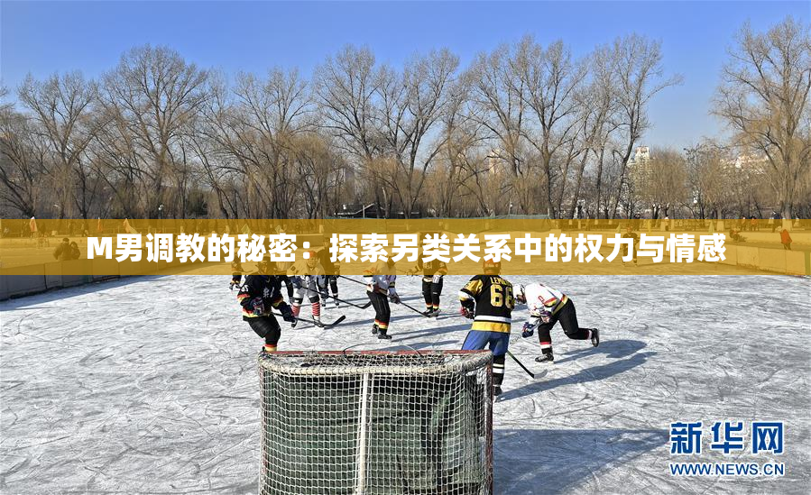 M男调教的秘密：探索另类关系中的权力与情感