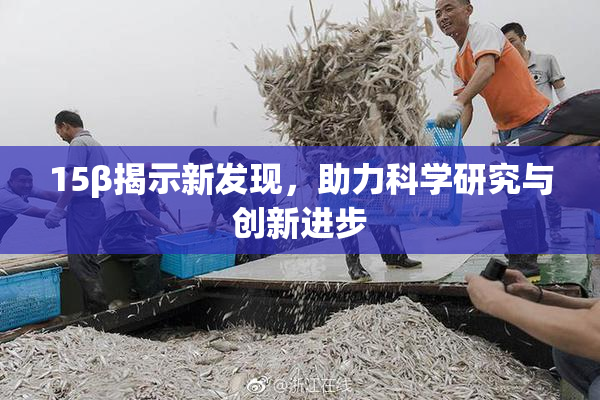 15β揭示新发现，助力科学研究与创新进步