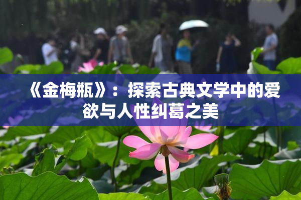 《金梅瓶》：探索古典文学中的爱欲与人性纠葛之美