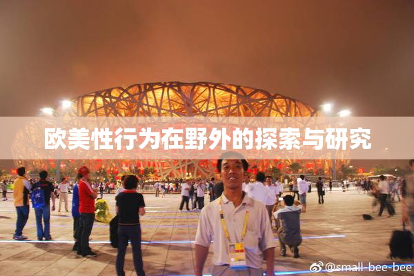 欧美性行为在野外的探索与研究
