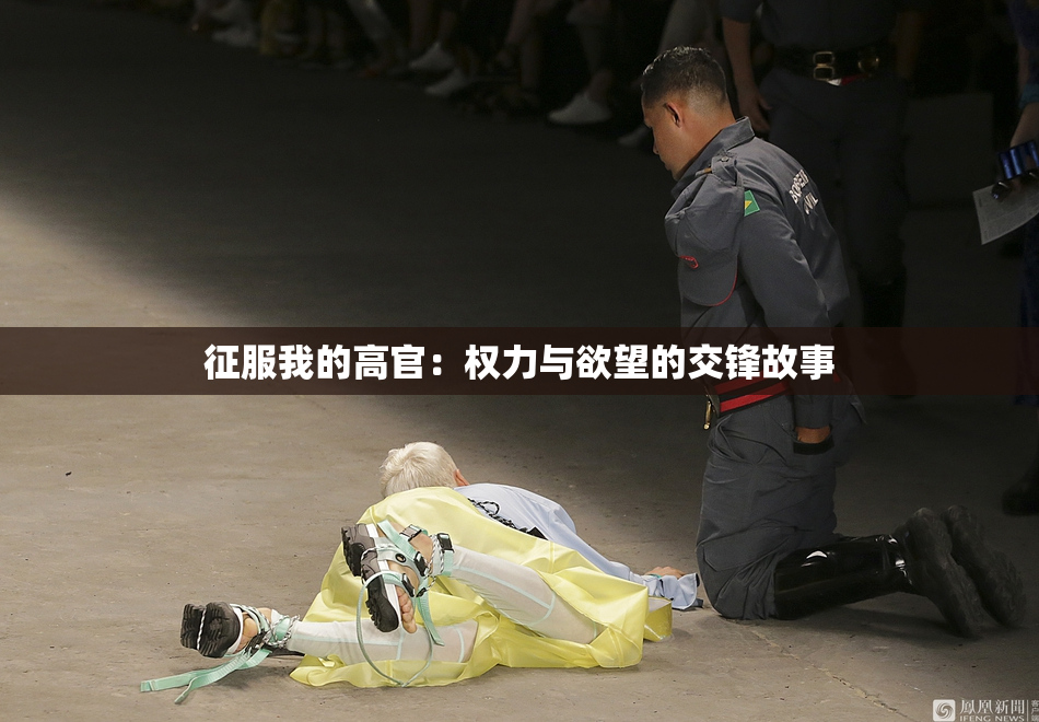 征服我的高官：权力与欲望的交锋故事
