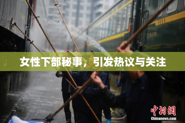 女性下部秘事，引发热议与关注