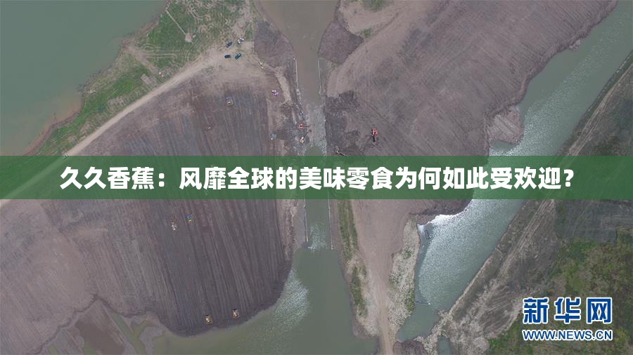 久久香蕉：风靡全球的美味零食为何如此受欢迎？
