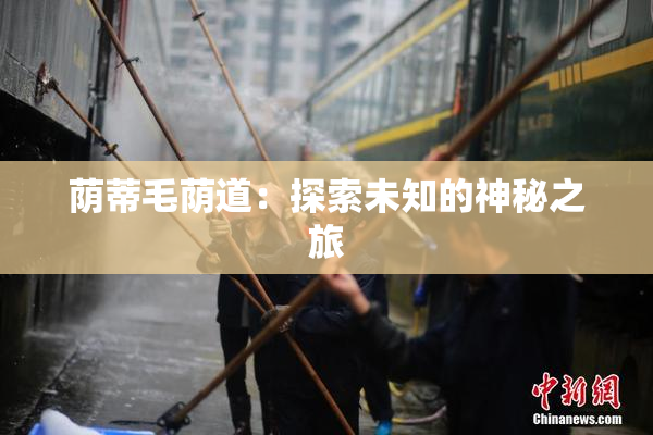 荫蒂毛荫道：探索未知的神秘之旅