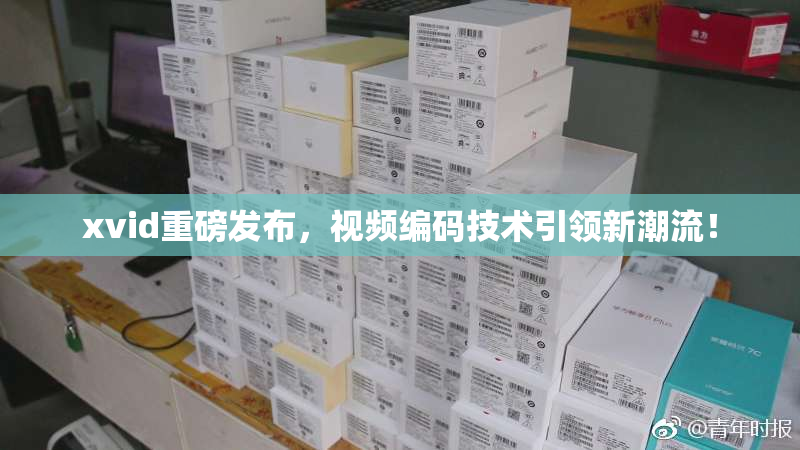 xvid重磅发布，视频编码技术引领新潮流！
