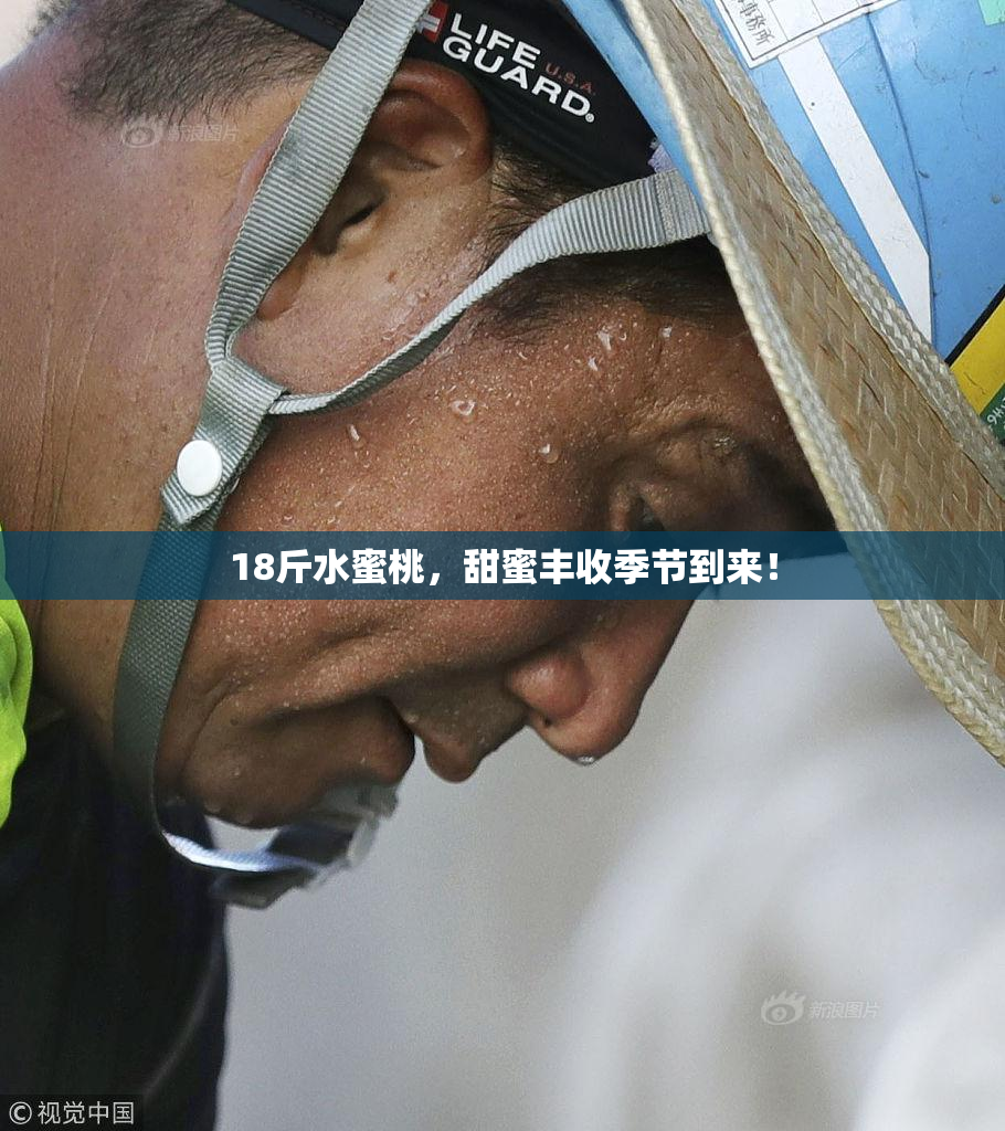 18斤水蜜桃，甜蜜丰收季节到来！