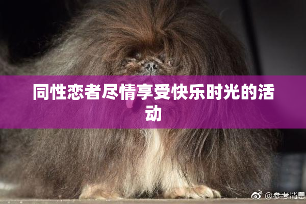 同性恋者尽情享受快乐时光的活动