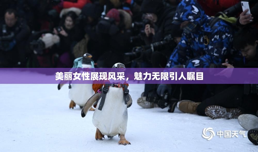 美丽女性展现风采，魅力无限引人瞩目