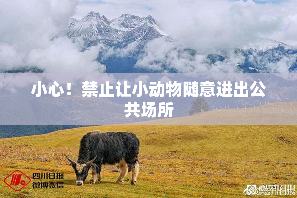 小心！禁止让小动物随意进出公共场所