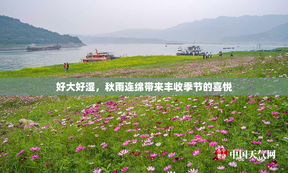 好大好湿，秋雨连绵带来丰收季节的喜悦