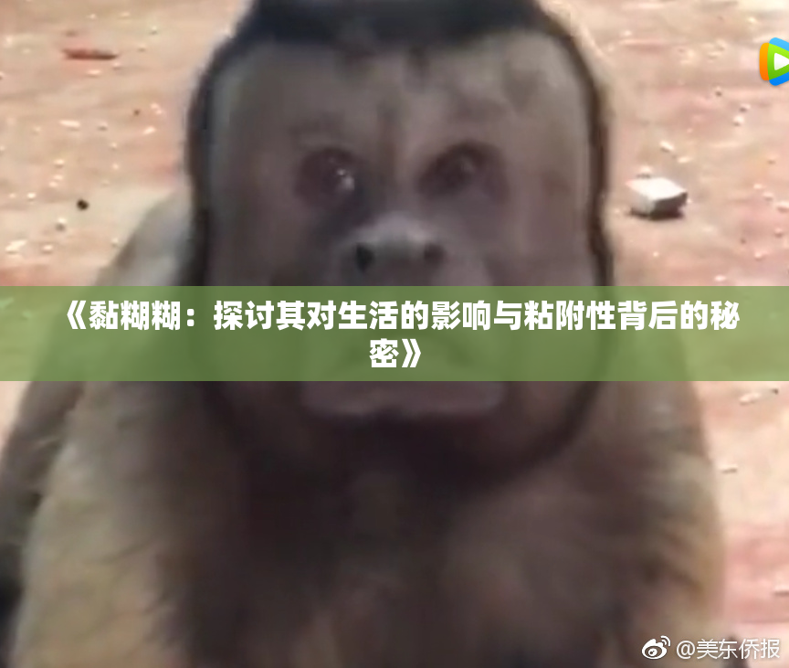 《黏糊糊：探讨其对生活的影响与粘附性背后的秘密》