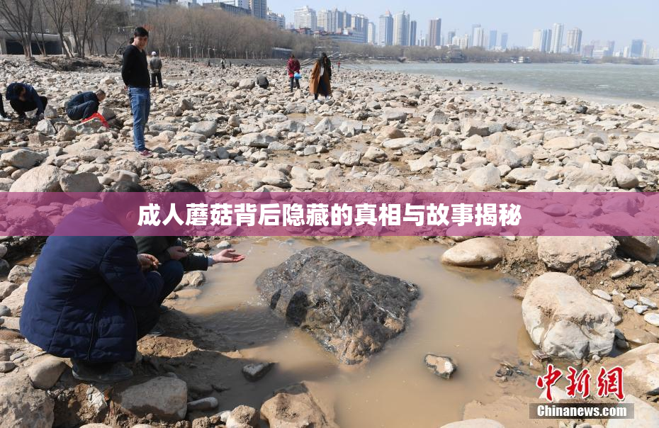 成人蘑菇背后隐藏的真相与故事揭秘