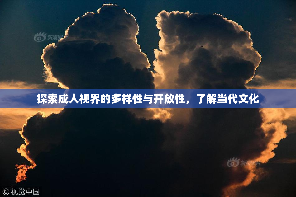 探索成人视界的多样性与开放性，了解当代文化