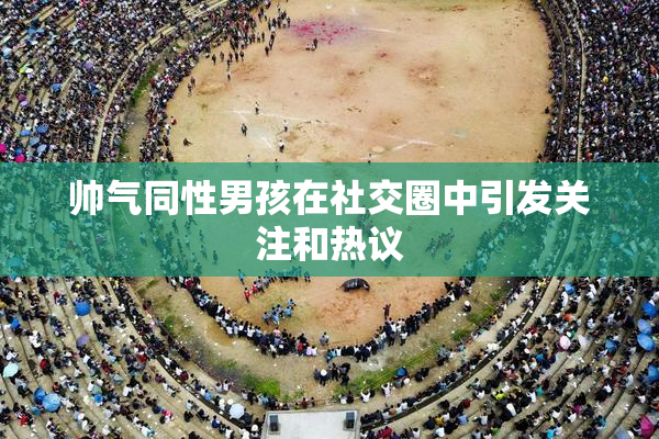 帅气同性男孩在社交圈中引发关注和热议