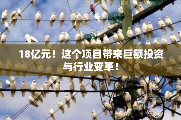 18亿元！这个项目带来巨额投资与行业变革！