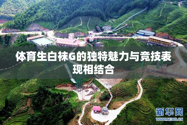 体育生白袜G的独特魅力与竞技表现相结合