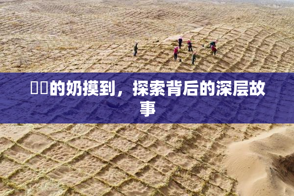 妺妺的奶摸到，探索背后的深层故事