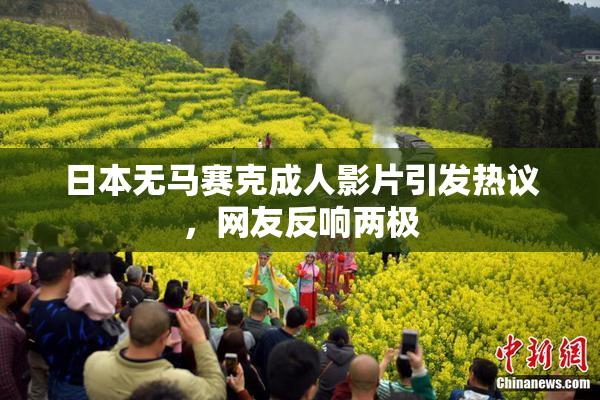 日本无马赛克成人影片引发热议，网友反响两极