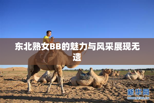 东北熟女BB的魅力与风采展现无遗