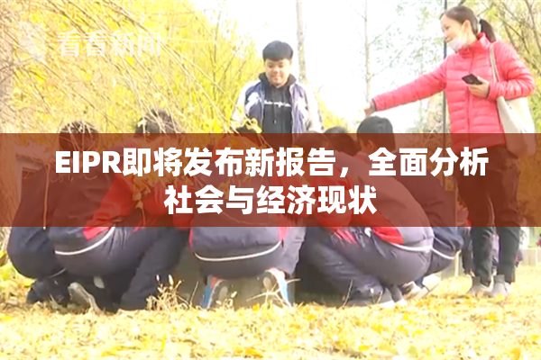 EIPR即将发布新报告，全面分析社会与经济现状