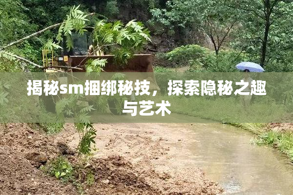 揭秘sm捆绑秘技，探索隐秘之趣与艺术