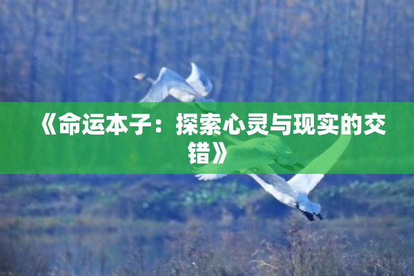 《命运本子：探索心灵与现实的交错》