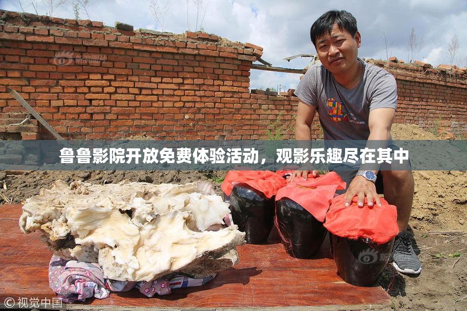 鲁鲁影院开放免费体验活动，观影乐趣尽在其中
