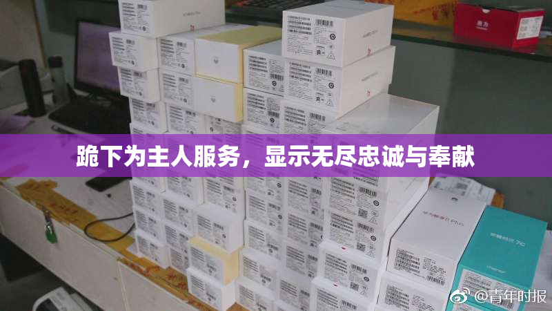 跪下为主人服务，显示无尽忠诚与奉献