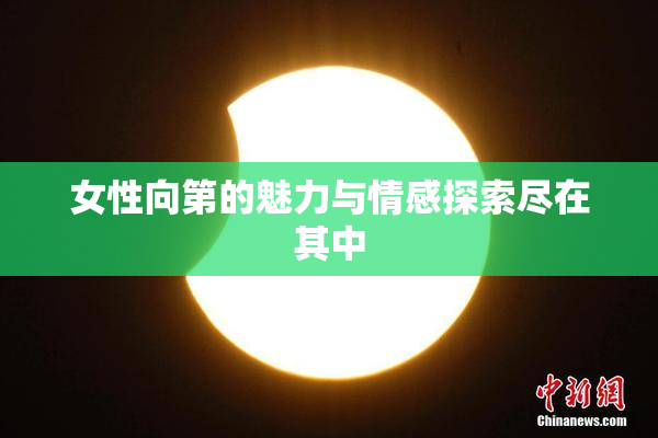 女性向第的魅力与情感探索尽在其中