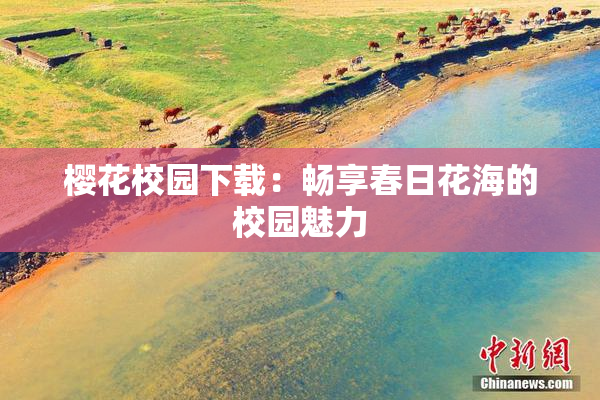 樱花校园下载：畅享春日花海的校园魅力