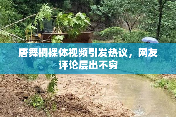 唐舞桐裸体视频引发热议，网友评论层出不穷