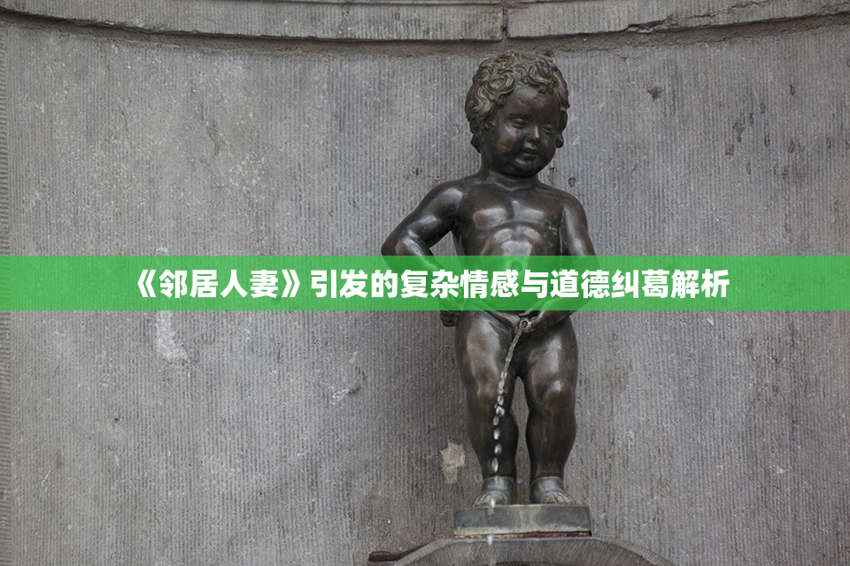 《邻居人妻》引发的复杂情感与道德纠葛解析