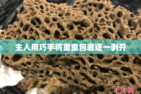 主人用巧手将重重包裹逐一剥开