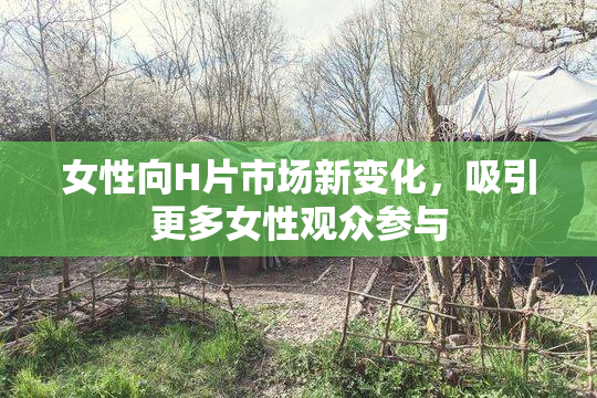 女性向H片市场新变化，吸引更多女性观众参与