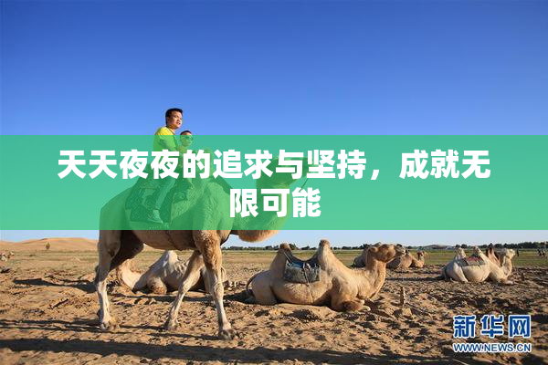 天天夜夜的追求与坚持，成就无限可能