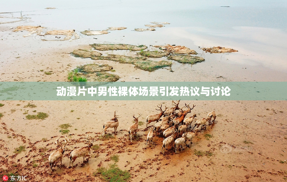 动漫片中男性裸体场景引发热议与讨论