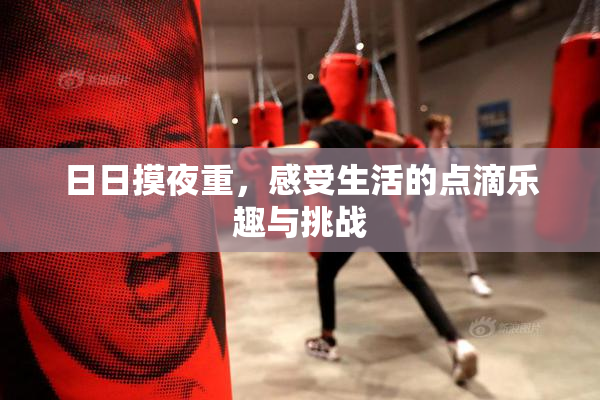 日日摸夜重，感受生活的点滴乐趣与挑战