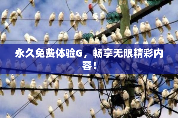 永久免费体验G，畅享无限精彩内容！