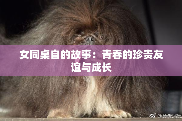 女同桌自的故事：青春的珍贵友谊与成长