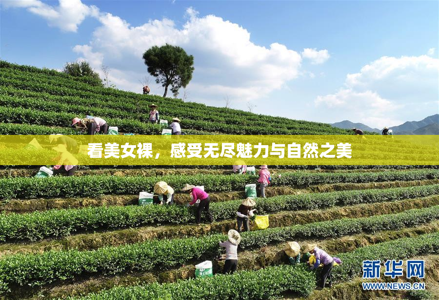 看美女裸，感受无尽魅力与自然之美