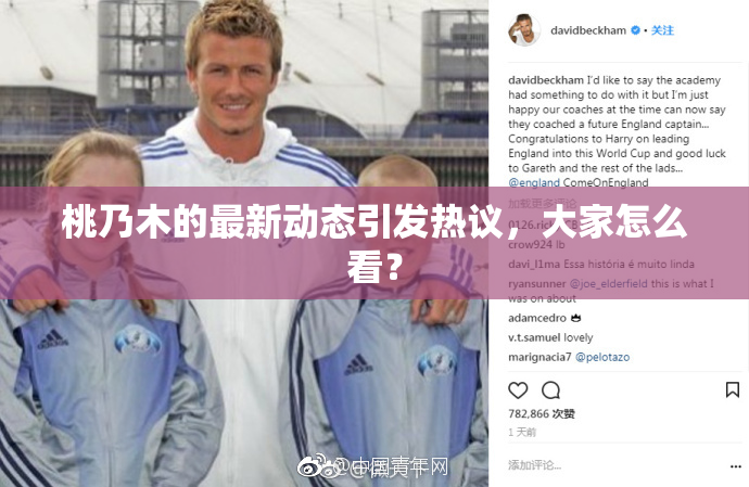 桃乃木的最新动态引发热议，大家怎么看？