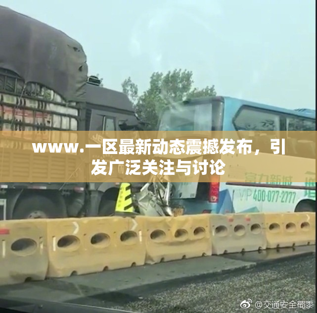 www.一区最新动态震撼发布，引发广泛关注与讨论
